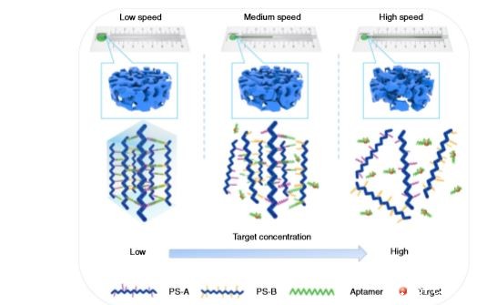 46dd8e3bb162605b00e2b4576168f4e5.jpg 22.JPG